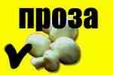 Прозаические произведения участников